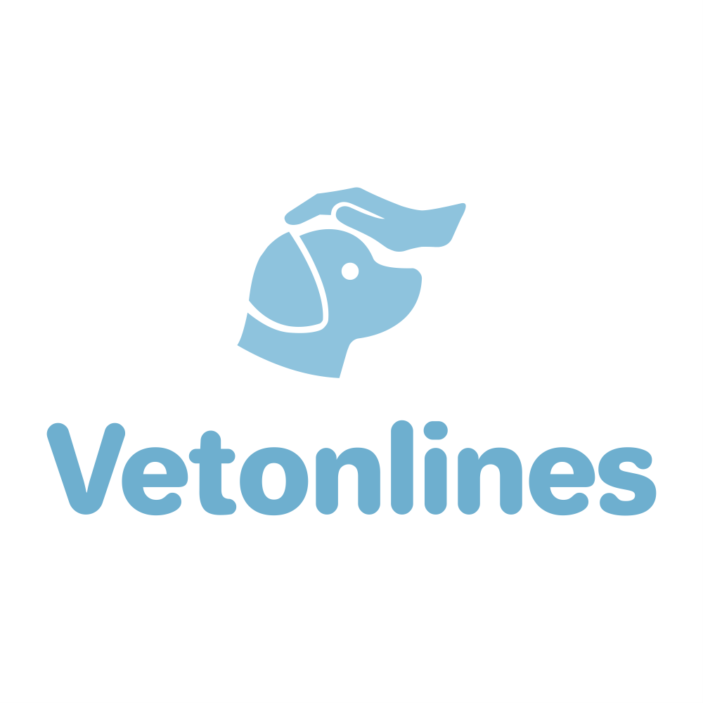 Home Get On Demand Online Vet For Your Pet